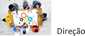 logo direcao